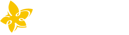 Albicocco Branding & Visual Design